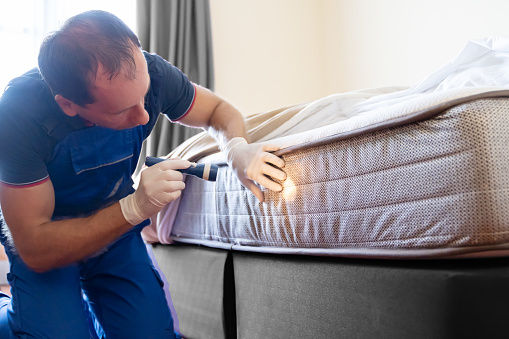 Bed Bug Treatment